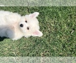 Small #10 Breeder Profile image