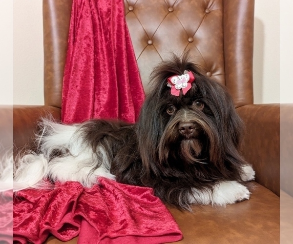 Medium Photo #2  Breeder Profile in POST FALLS, ID, USA