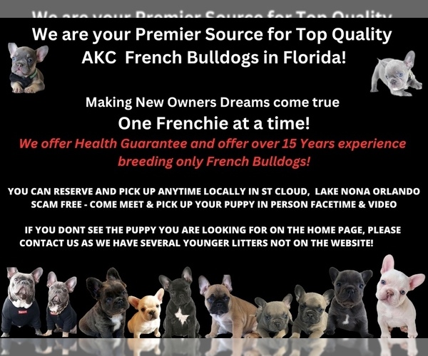 Medium Photo #3  Breeder Profile in ORLANDO, FL, USA