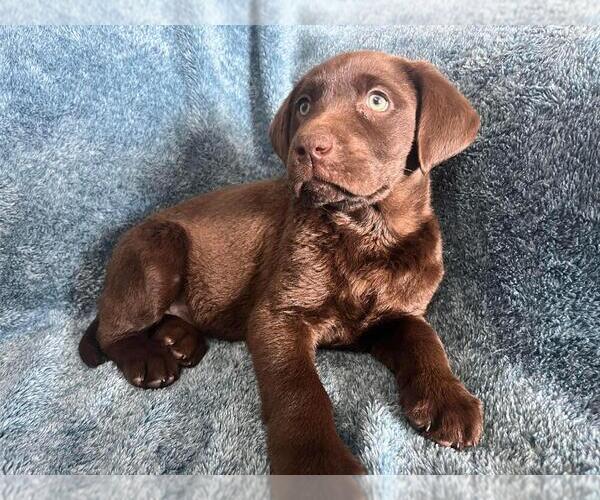 Medium Photo #1  Breeder Profile in LONG PINE, NE, USA