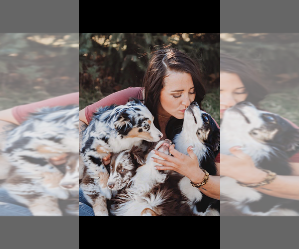 Medium Photo #1  Breeder Profile in QUEEN CREEK, AZ, USA