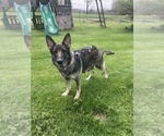 Small #2 Breeder Profile image