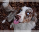 Small #18 Breeder Profile image