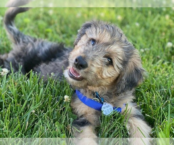 Medium Photo #1  Breeder Profile in UPTON, KY, USA