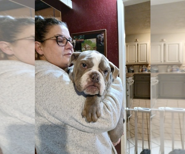 Medium Photo #8  Breeder Profile in MCALESTER, OK, USA