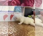 Small #8 Breeder Profile image