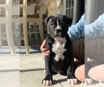 Small #46 Breeder Profile image