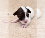 Small #7 Breeder Profile image