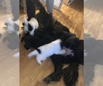 Small #3 Breeder Profile image