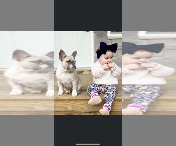 Medium Photo #4  Breeder Profile in LAKE CITY, FL, USA