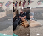Small #3 Breeder Profile image