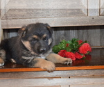 Small #12 Breeder Profile image