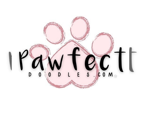 Medium Photo #1  Breeder Profile in PIERSON, FL, USA