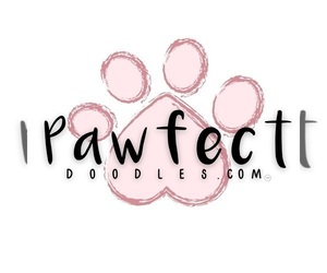 Double Doodle Dog Breeder near PIERSON, FL, USA