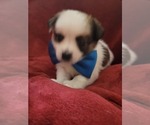 Small #143 Breeder Profile image