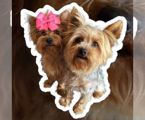Medium Photo #1  Breeder Profile in PLACITAS, NM, USA
