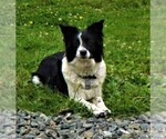 Small #3 Breeder Profile image