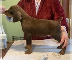 Small #4 Breeder Profile image