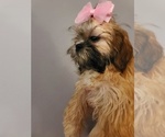 Small #10 Breeder Profile image