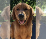Small #4 Breeder Profile image