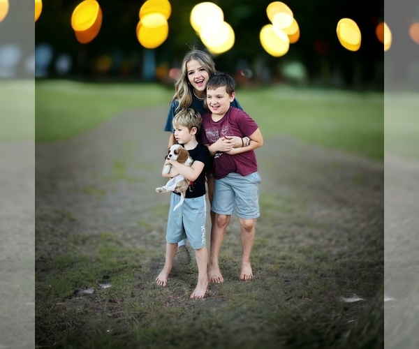Medium Photo #1  Breeder Profile in TOLLESON, AZ, USA