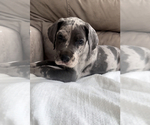 Small #14 Breeder Profile image