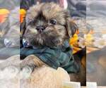 Small #12 Breeder Profile image