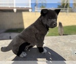 Small #7 Breeder Profile image