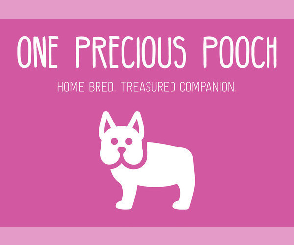 Medium Photo #1  Breeder Profile in SACRAMENTO, CA, USA