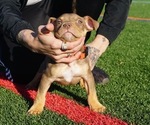 Small #11 Breeder Profile image