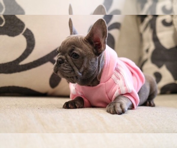 Medium Photo #7  Breeder Profile in FONTANA, CA, USA