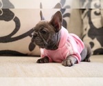 Small #6 Breeder Profile image