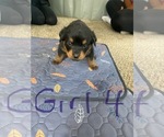 Small #27 Breeder Profile image