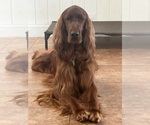 Small #13 Breeder Profile image