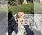 Small #8 Breeder Profile image