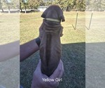 Small #46 Breeder Profile image