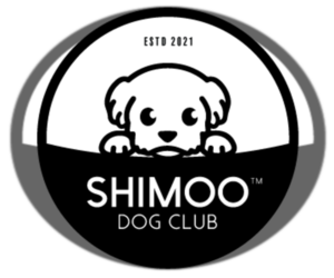 Maltipoo-Shih Tzu Mix Dog Breeder near ORTING, WA, USA