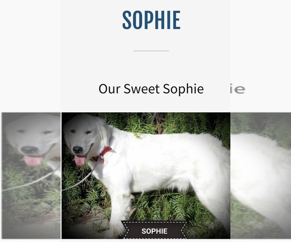 Medium Photo #32  Breeder Profile in HEMET, CA, USA