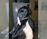 Small #15 Breeder Profile image