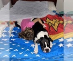 Small #15 Breeder Profile image