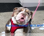 Small #12 Breeder Profile image