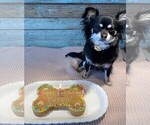 Small #26 Breeder Profile image