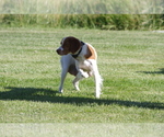 Small #3 Breeder Profile image