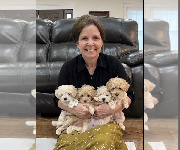 Medium Photo #1  Breeder Profile in MURFREESBORO, TN, USA