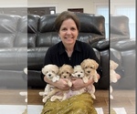 Small breeder photo