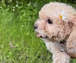 Small #4 Breeder Profile image
