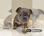 Small #2 Breeder Profile image
