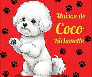 Bichon Frise Dog Breeder near PELZER, SC, USA