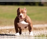 Small #19 Breeder Profile image