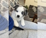 Small #15 Breeder Profile image